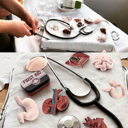 2 Inch 8PCS Human Body Model for Kids Mini Fake Body Parts Sets Human Anatomy Model Anatomy and Physiology Good Tools Students Sciences Learning Kit for Boys Girls Kids in Saudi Arabia