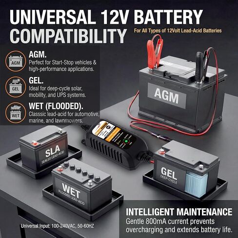شاحن بطارية أوتوماتيكي MOTOPOWER 12 فولت 800 مللي أمبير، جهاز صيانة البطارية، شاحن هزيلة، ومزيل كبريتات البطارية، 3 عبوات in Kuwait