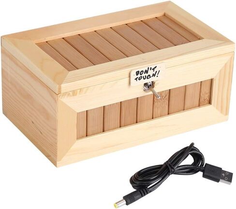 Cryfokt Dont Touch صندوق عديم الفائدة خشبي USB صندوق توفير المال الإلكتروني مضحك لعبة تخفيف التوتر التفاعلية هدية مكتب الديكور لمكتب المنزل والمكتب in Kuwait