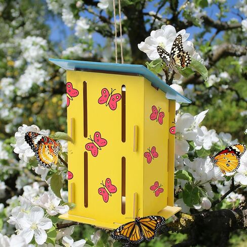 Fiwochic Butterfly House Kits for Kids, Makes 24 DIY Classroom Crafts Project and Learning Activities for Kids in Kuwait