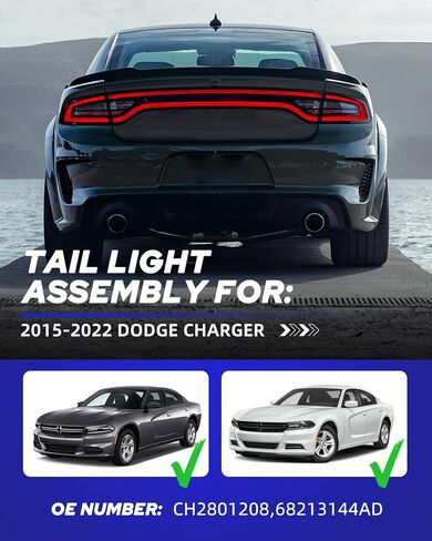 AUTOONE - لـ 2015-2022 دودج تشارجر الذيل مجموعة مصابيح المصنع OEM المصابيح الخلفية LED الخلفية اليمنى، جانب الركاب (RH) in Kuwait