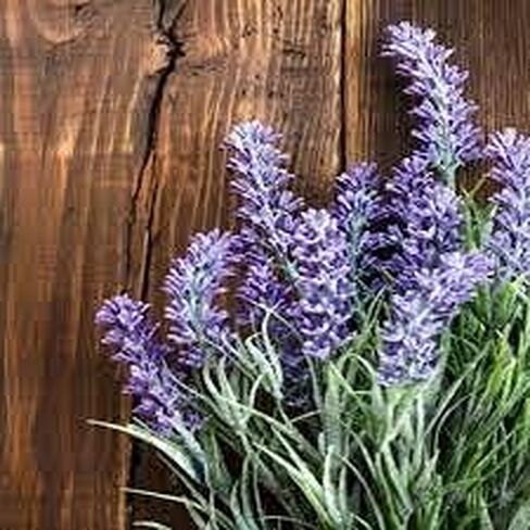 Lavender Sandalwood Fragrance Oil (8 oz Bottle) for Candle Making, Soap Making, Tart Making, Room Sprays, Lotions, Car Fresheners, Slime, Bath Bombs, Warmers… in Kuwait