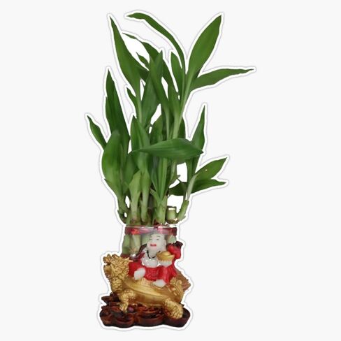 Lucky Bamboo Laughing Buddha Feng Shui Sticker Vinyl Waterproof Sticker Decal Car Laptop Wall Window Bumper Sticker 5" in Kuwait