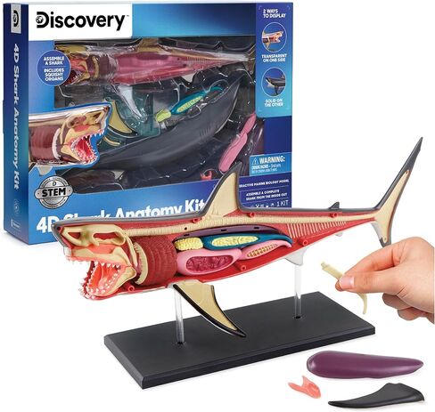 Discovery™ 4D Shark Anatomy Kit| Interactive Model Building Set with Display Stand| STEM Biology Science Kit| Fun Activity Puzzle| Ocean Sea Creature Figurine| Educational Learning Toy| Ages 6+ in Saudi Arabia