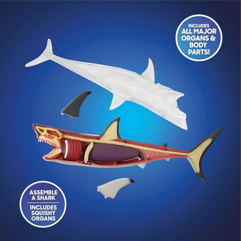 Discovery™ 4D Shark Anatomy Kit| Interactive Model Building Set with Display Stand| STEM Biology Science Kit| Fun Activity Puzzle| Ocean Sea Creature Figurine| Educational Learning Toy| Ages 6+ in Saudi Arabia