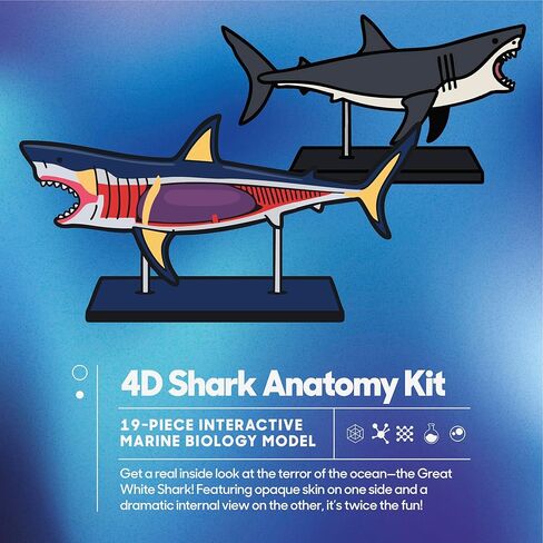 Discovery™ 4D Shark Anatomy Kit| Interactive Model Building Set with Display Stand| STEM Biology Science Kit| Fun Activity Puzzle| Ocean Sea Creature Figurine| Educational Learning Toy| Ages 6+ in Saudi Arabia