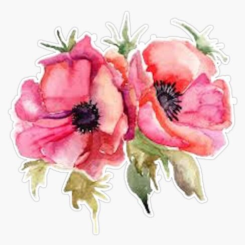 Watercolor Flower Vinyl Waterproof Sticker Decal Car Laptop Wall Window Bumper Sticker 5" in Kuwait