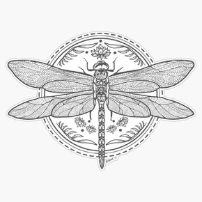 Dragonfly Sticker Vinyl Bumper Sticker Decal Waterproof 5 inches EVAN-YOGA-STICKERS-338 in Saudi Arabia