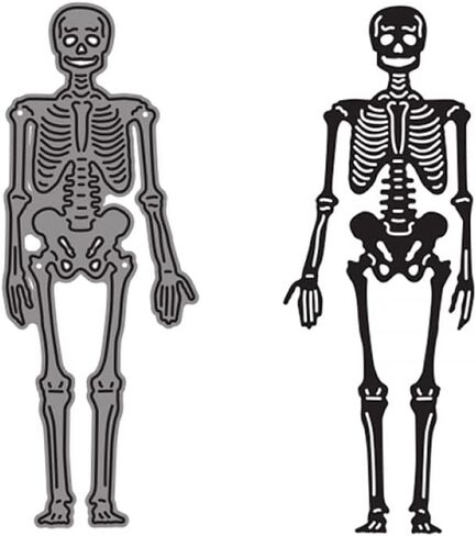 Skeleton Dies for Card Making DIY Scrapbooking Metal Cutting Dies for Paper Crafting Handmade Crafts Scrapbooking Supplies Arts Crafts Scrapbook Photo Album Decor Embossing Stencil Die Cuts Punch in Kuwait