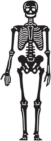 Skeleton Dies for Card Making DIY Scrapbooking Metal Cutting Dies for Paper Crafting Handmade Crafts Scrapbooking Supplies Arts Crafts Scrapbook Photo Album Decor Embossing Stencil Die Cuts Punch in Kuwait