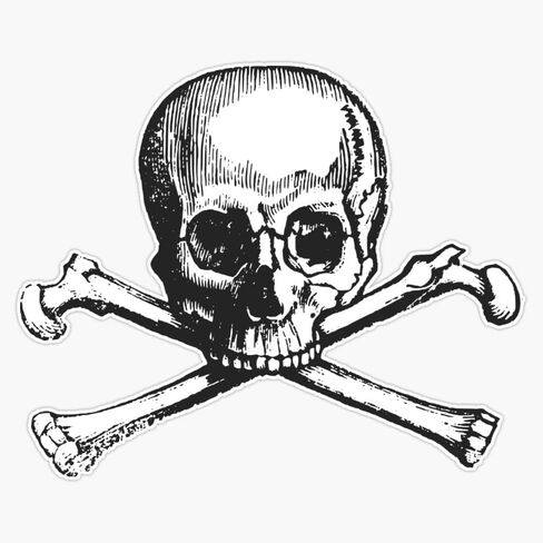 Skull and crossbones Sticker Bumper Sticker Vinyl Decal 5" in Kuwait