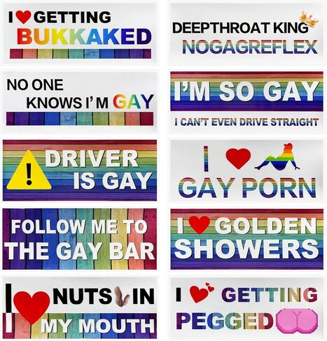 Sun Walker 10 PCS Car Funny LGBT Stickers, Reflective Rainbow Car Decal Bumper Prank Decoration with Humor Text, Waterproof Gay Pride Signs Stickers for Vehicle Refrigerator Luggage (Style 2) in Kuwait