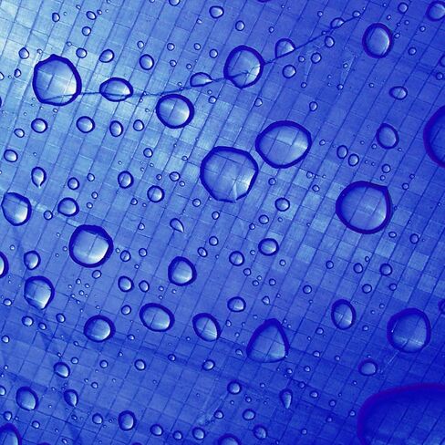 Blue Poly Tarp, 40x60 Feet, 5-6 MIL Thick, Waterproof Heavy Duty with Grommets, Weather Proof Protective Cover in Kuwait