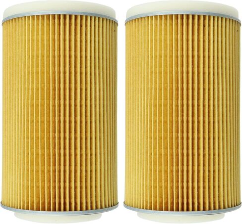 11029-0025 Air Filter for Kawasaki Teryx4 750 800 4x4 KRT750A KRF750 KRT800 KRF800(2 Pack) in Saudi Arabia