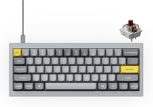 Keychron Q4 Wired Custom Mechanical Keyboard, 60% Layout QMK/VIA Programmable Macro with Hot-swappable Gateron G Pro Brown Switch Double Gasket Compatible with Mac Windows Linux (Gray) in Saudi Arabia