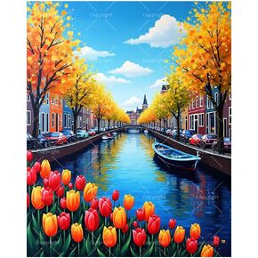 TAOPAOLAB City Landscape Paint by Numbers Kit for Adults - DIY Amsterdam Canal Painting on Canvas 12x16In, Framed Acrylic Paint Set, Suitable for Beginners, Art for Home Decoration or Gifts in Saudi Arabia