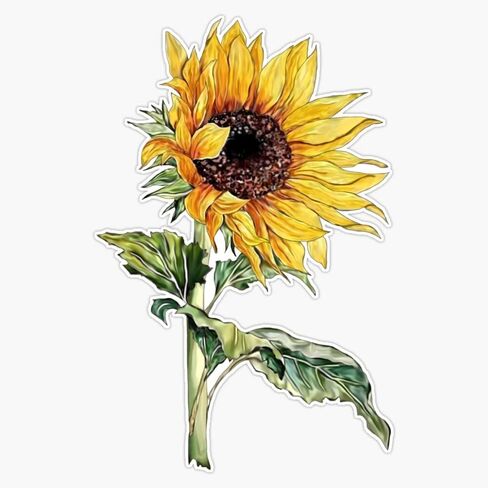 Sunflower Sticker Sticker Decal Bumper Sticker Waterproof 5" in Saudi Arabia