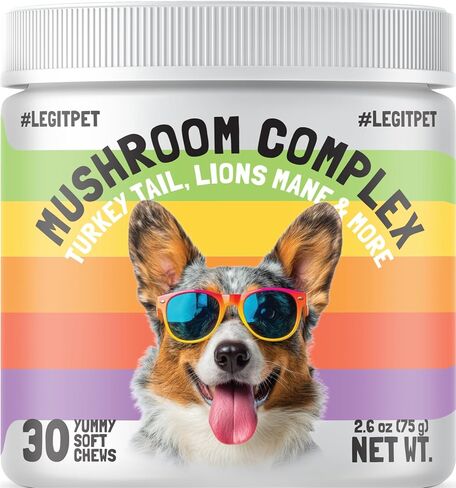 Mushroom Complex Treats for Dogs with Reishi Shiitake and Turkey Tail Mushrooms for Cognition and Immune Boosting Supports Digestive Health and Reduces Inflammation DHA EPA Turmeric Kelp 120 Chews in Saudi Arabia