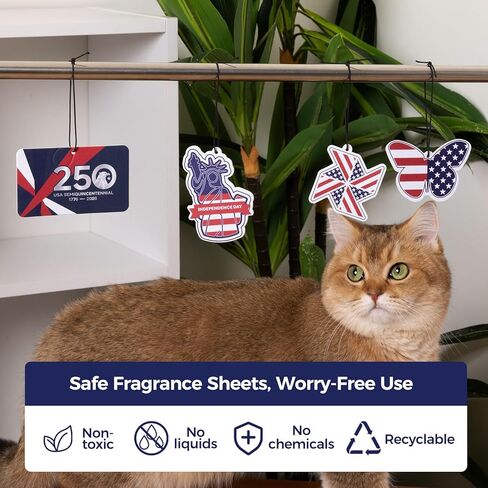 12Pcs America 250th Anniversary Independence Car Air Freshener Hanging American Flag Provides Long-Lasting Fragrance For Cars And Homes Black Ice, Berries, Ocean, New Car, Air Freshener in Saudi Arabia