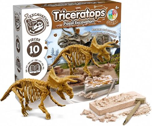 Science4you T Rex Fossil Digging Kit for Kids - T Rex Dinosaurs for Kids, Excavate and Assemble 15 Pieces, Digging Kit for Kids + Dino Toys and Games for Kids, Gifts for 6+ Year Old Boys and Girls in Saudi Arabia