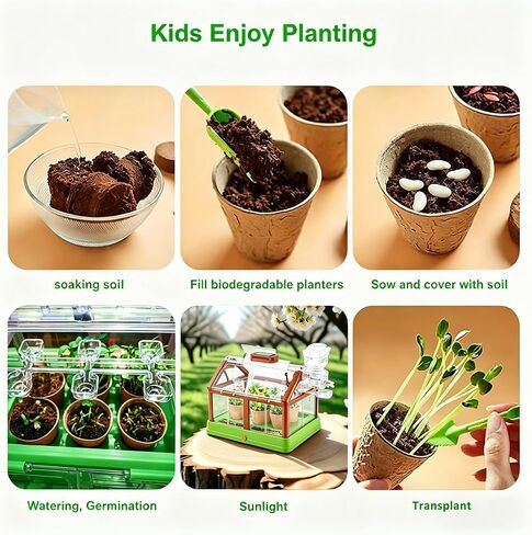 مجموعة أدوات زراعة النباتات للأطفال من EXBEPE، مجموعة زراعة الدفيئة، مجموعة Terrarium Kit للأطفال، لعبة البستنة النباتية التعليمية DIY، الدفيئة الحية مع لوحة شمسية، مجموعة البستنة الداخلية in Kuwait