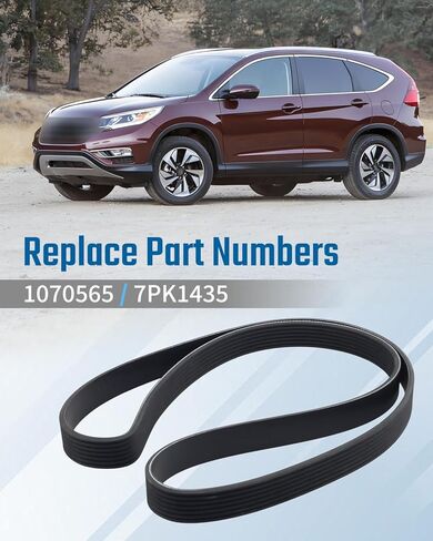 1070565 Serpentine Belt Fit for Honda Civic 2016-2020 Fit for Honda CR-V 2015-2017 Fit for Honda Acura 2016-2019, 7-Rib, 56.5" Length in Kuwait