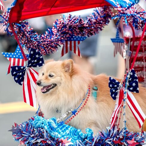 Henoyso 300 Pcs 250 Years Anniversary Bead Necklaces Bulk USA Patriotic Star Necklaces Red Blue Silver Bead for Men Women 1776-2026 4th of July American Patriotic Parade Carnival Favors in Kuwait