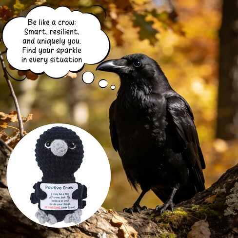 Positive Crochet Crow Mini Animal Emotional Cheer Up Support Gifts, Funny Crochet Mini Handmade Crow for Women Men Friends Mom Daughter Son Birthday Mothers Day Decor Graduation in Saudi Arabia
