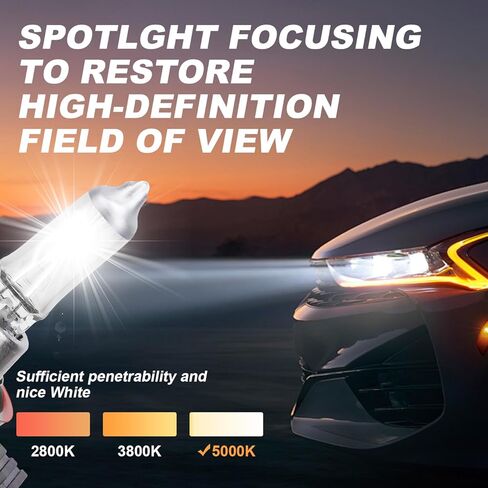 Safego H8 Halogen Headlight Bulb - 12V 55W Halogen Headlamp 5000K Auto Car Low High Beam Light Bulbs for Fog light Replacement,NOT Fit 24V Vehicle,Pack of 2 in Saudi Arabia