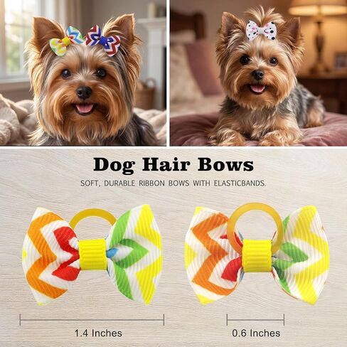 Puppy Hair Bows Small Dog: Mini Rubber Bands 60pcs in Saudi Arabia