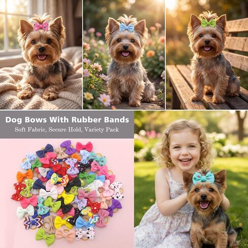 Puppy Hair Bows Small Dog: Mini Rubber Bands 60pcs in Saudi Arabia