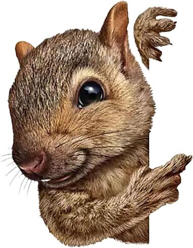 Decorative 3D Squirrel Stickers 2-Piece Set Waterproof Car Window Bumper Laptop Body Decoration Stickers#A-051 in Kuwait