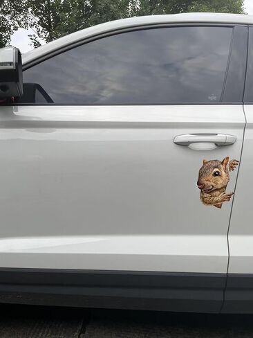 Decorative 3D Squirrel Stickers 2-Piece Set Waterproof Car Window Bumper Laptop Body Decoration Stickers#A-051 in Kuwait