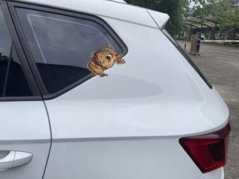 Decorative 3D Squirrel Stickers 2-Piece Set Waterproof Car Window Bumper Laptop Body Decoration Stickers#A-051 in Kuwait