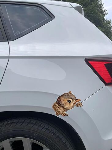 Decorative 3D Squirrel Stickers 2-Piece Set Waterproof Car Window Bumper Laptop Body Decoration Stickers#A-051 in Kuwait