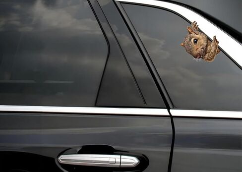 Decorative 3D Squirrel Stickers 2-Piece Set Waterproof Car Window Bumper Laptop Body Decoration Stickers#A-051 in Kuwait