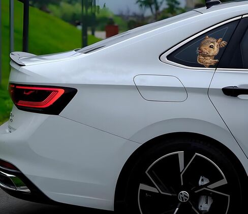 Decorative 3D Squirrel Stickers 2-Piece Set Waterproof Car Window Bumper Laptop Body Decoration Stickers#A-051 in Kuwait