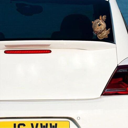 Decorative 3D Squirrel Stickers 2-Piece Set Waterproof Car Window Bumper Laptop Body Decoration Stickers#A-051 in Kuwait