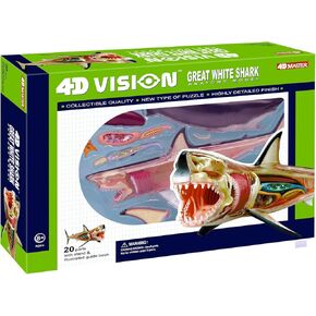 4D Vision نموذج تشريح القرش الأبيض الكبير in Kuwait