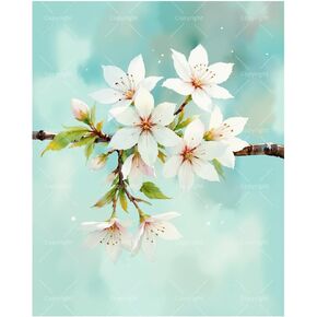 Botanical Painting Paint by Numbers Kit for Adults - DIY White Cherry Blossom Branch on Teal Background Painting on Canvas 16x20 Inches,Acrylic Paint Set,Suitable for Beginners,Art for Decor in Saudi Arabia