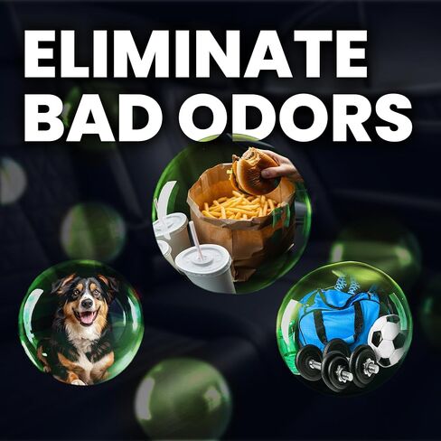 Lane's Premium Car Air Fresheners - Cinnamon Scent Water Based - 16oz Eliminate Bad Odors of Pet & Food From Car Interior Leather, Carpet, Upholstery Great For Cars, Trucks, SUVs, RVs & More in Saudi Arabia
