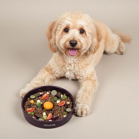 Interactive Spinning Dog Puzzle Toy and Slow Feeder, Dog Enrichment Toys, Dog Game for IQ Tanning and Mental, Food Bowls for Small,Medium and Large Dogs in Saudi Arabia