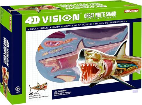 4D Vision Great White Shark Anatomy Model in Kuwait