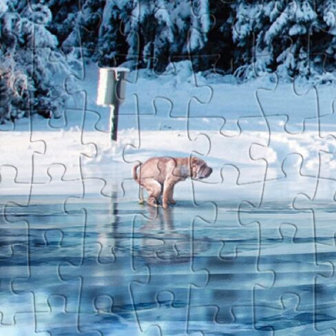 Prank-O 500 Piece Prank Jigsaw Puzzle, Pooping Dog Secret Image, Funny Gag Gift for Puzzle Lovers, Dog Lovers, White Elephant Puzzle for Friends and Family (500, Frozen Serenity) in Saudi Arabia