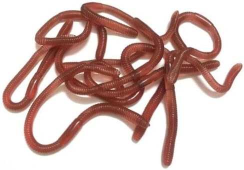 30 Pcs 7.1inch Fake Earthworm Soft Stretchy Rubber Earthworm Lifelike Worm for Halloween Pranks, April Fools Tricks, Party Decorations, Photography Props in Saudi Arabia