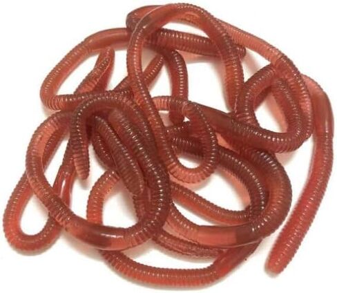 30 Pcs 7.1inch Fake Earthworm Soft Stretchy Rubber Earthworm Lifelike Worm for Halloween Pranks, April Fools Tricks, Party Decorations, Photography Props in Saudi Arabia