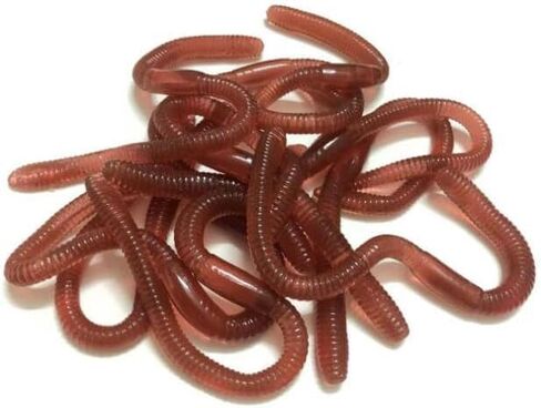 30 Pcs 7.1inch Fake Earthworm Soft Stretchy Rubber Earthworm Lifelike Worm for Halloween Pranks, April Fools Tricks, Party Decorations, Photography Props in Saudi Arabia