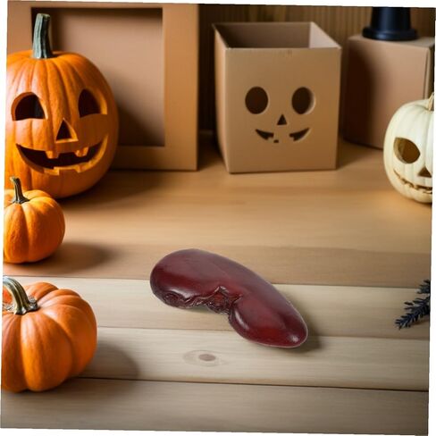 Yardwe Realistic Kidney Prop for Halloween Decorations and Cosplay Accessories, Lightweight Fake Organ Prop for Haunted House and Party Photo Shoots in Kuwait