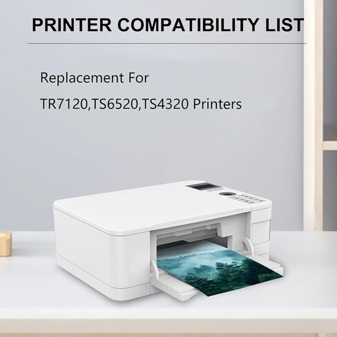 High Capacity PG-295 XL Ink Cartridges Replacement for Canon PG-295 Ink Cartridges use for Pixma TR7120,TS6520,TS4320 Printers (1 Black) in Kuwait