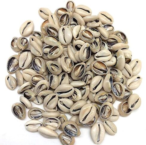 100 Pcs White and Lvory Natural Cowrie Shells Beads Oval Beach Seashells African for Hair Jewelry Making sea Shells for Crafting, DIY Craft Beads and Jewelry Making, Decorations in Saudi Arabia